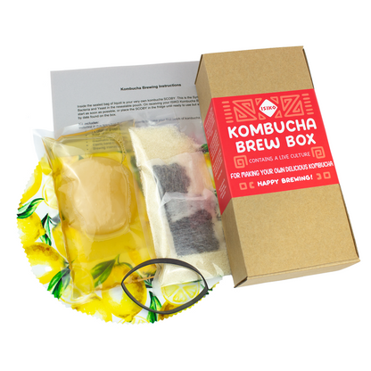 Kombucha Brew Box Contents